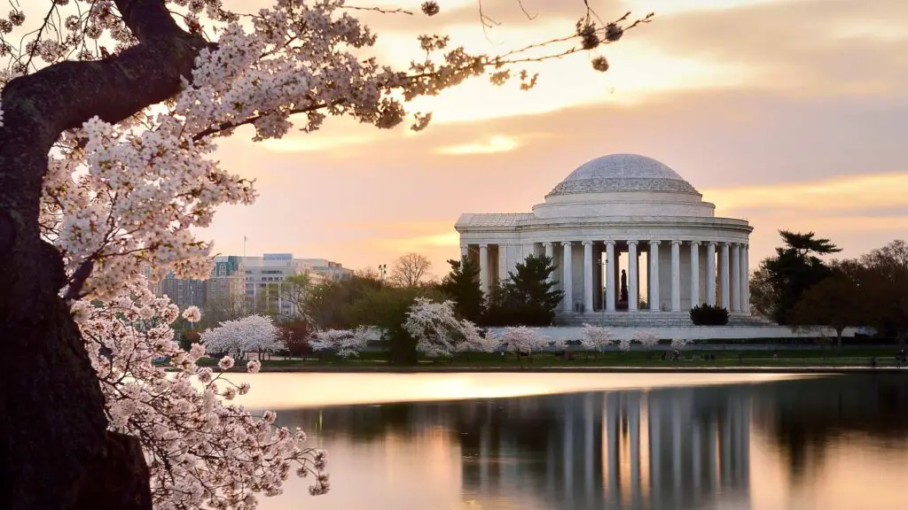 fun things to do at night in dc